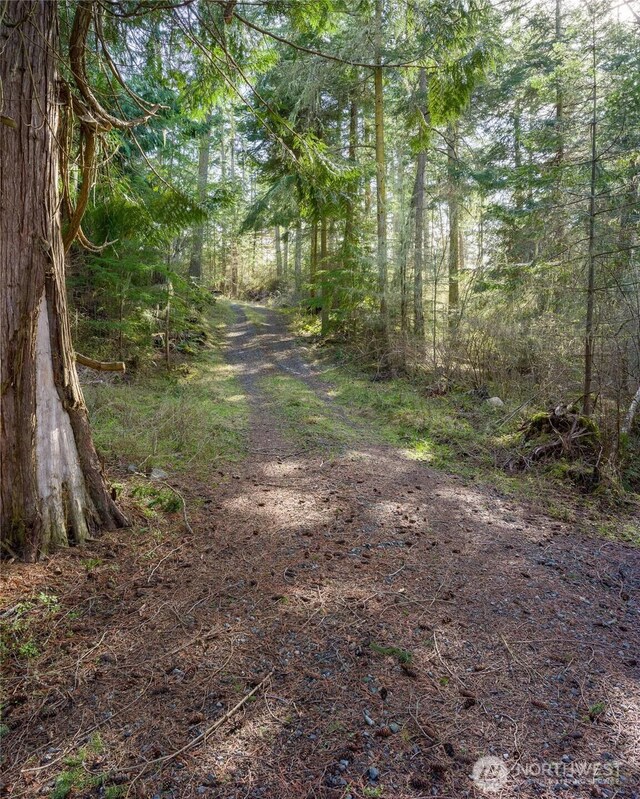 4722 Mud Bay Rd, Lopez Island, WA 98261 - photo 11