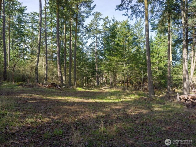 4722 Mud Bay Rd, Lopez Island, WA 98261 - photo 12
