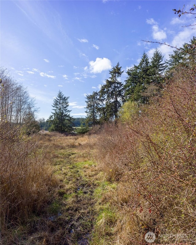 4722 Mud Bay Rd, Lopez Island, WA 98261 - photo 13