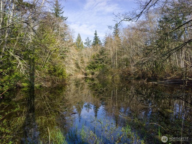 4722 Mud Bay Rd, Lopez Island, WA 98261 - photo 14