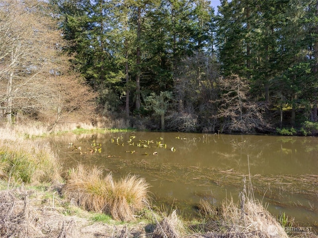 4722 Mud Bay Rd, Lopez Island, WA 98261 - photo 15