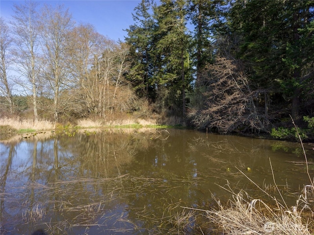 4722 Mud Bay Rd, Lopez Island, WA 98261 - photo 16
