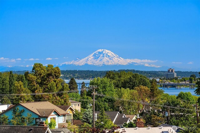 4736 34th Ave NE Unit 2/B, Seattle, WA 98105
