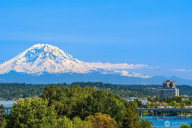 4736 34th Ave NE Unit 2/B, Seattle, WA 98105