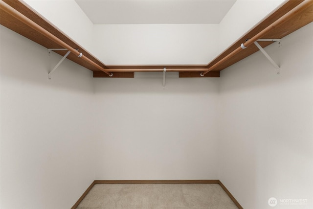 13008 65th Avenue Ct SW, Lakewood, WA 98499 - walk in closet with light colored carpet
