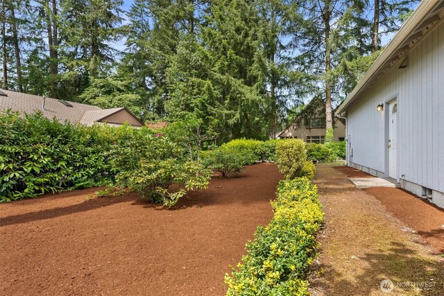 13008 65th Avenue Ct SW, Lakewood, WA 98499 - view of yard
