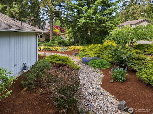 13008 65th Avenue Ct SW, Lakewood, WA 98499 - view of yard featuring view of scattered trees