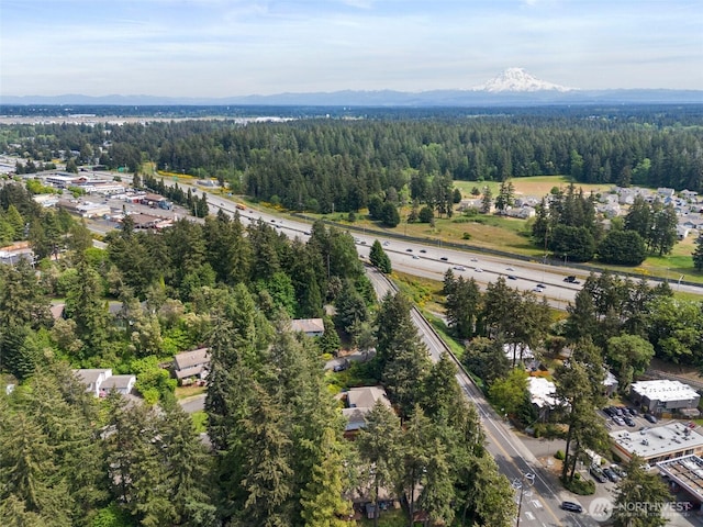 13008 65th Avenue Ct SW, Lakewood, WA 98499 - bird's eye view of a forest