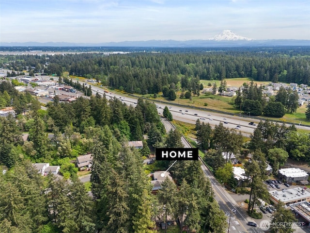 13008 65th Avenue Ct SW, Lakewood, WA 98499 - aerial view of a forest and a mountainous background