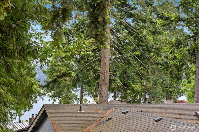 13235 68th Pl NE, Kirkland, WA 98034 - exterior view of a chimney
