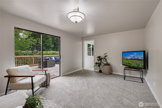 5915 148th Pl SW, Edmonds, WA 98026 - sitting room with carpet and baseboards