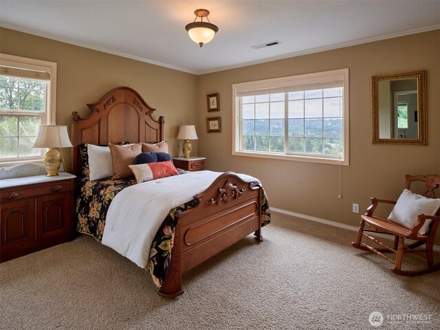 256 Eagle Point Rd, Woodland, WA 98674 - photo 23