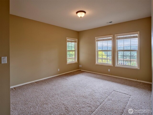 256 Eagle Point Rd, Woodland, WA 98674 - photo 29