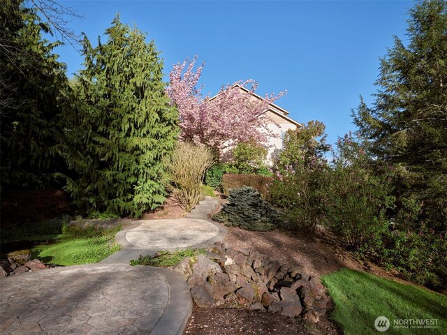 256 Eagle Point Rd, Woodland, WA 98674 - photo 36