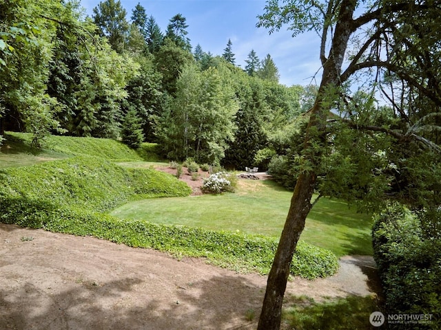 256 Eagle Point Rd, Woodland, WA 98674 - photo 35