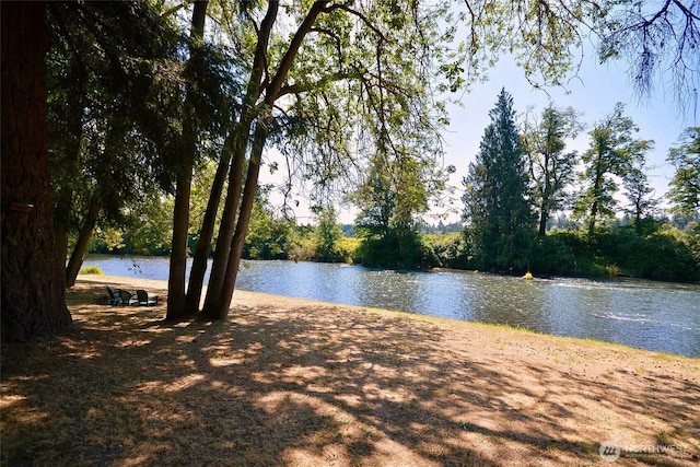 8506 358th St S, Roy, WA 98580 - photo 27