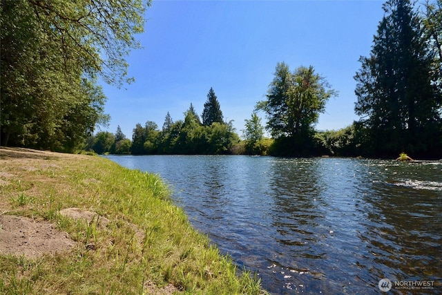 8506 358th St S, Roy, WA 98580 - photo 29