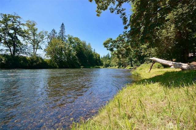 8506 358th St S, Roy, WA 98580 - photo 30