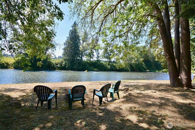 8506 358th St S, Roy, WA 98580 - photo 31
