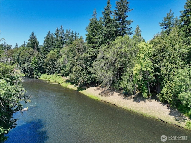 8506 358th St S, Roy, WA 98580 - photo 37