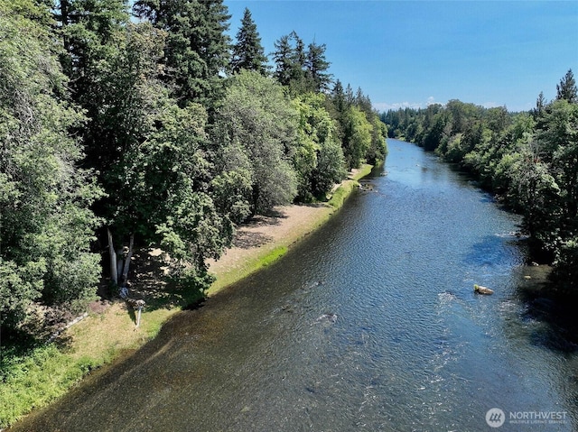 8506 358th St S, Roy, WA 98580 - photo 38