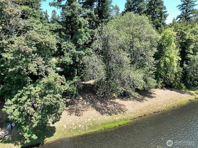 8506 358th St S, Roy, WA 98580 - photo 39