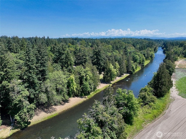 8506 358th St S, Roy, WA 98580 - photo 40