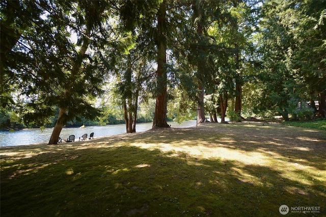 8506 358th St S, Roy, WA 98580 - photo 33