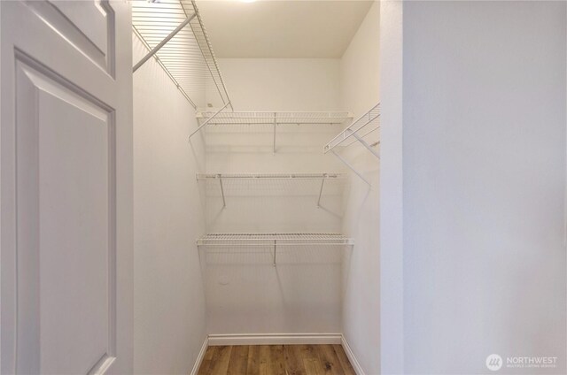 13000 Admiralty Way Unit K103, Everett, WA 98204 - walk in closet featuring wood finished floors