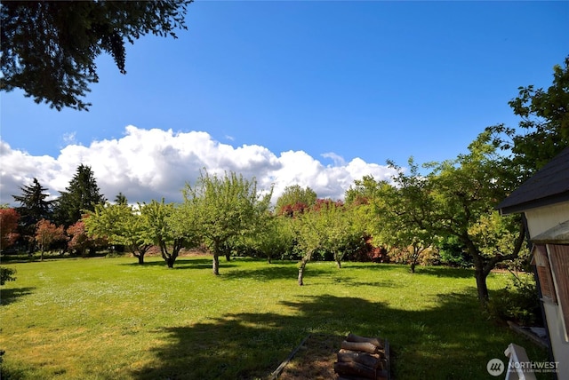 171 Foxtail Ln, Sequim, WA 98382 - view of green lawn