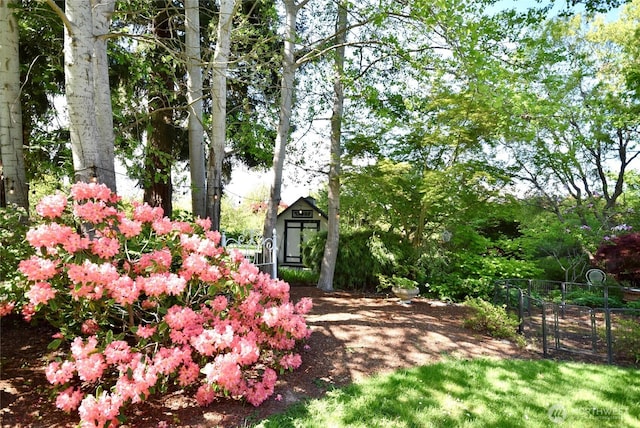 171 Foxtail Ln, Sequim, WA 98382 - view of yard