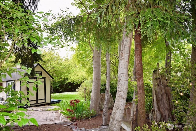 171 Foxtail Ln, Sequim, WA 98382 - view of yard