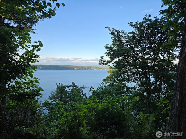 4203 SE Camano Dr, Camano Island, WA 98282