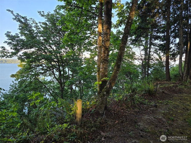 4203 SE Camano Dr, Camano Island, WA 98282