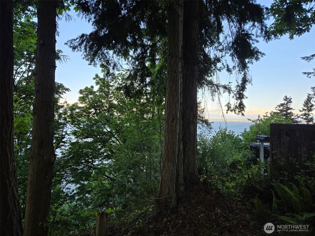 4203 SE Camano Dr, Camano Island, WA 98282