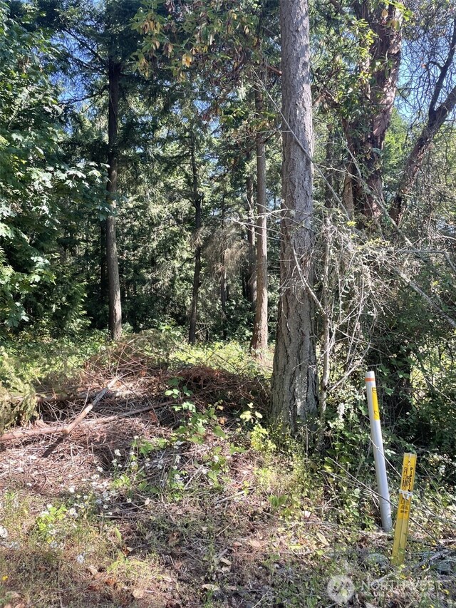 0NHN Hummingbird Ln, Anacortes, WA 98221 - photo 6