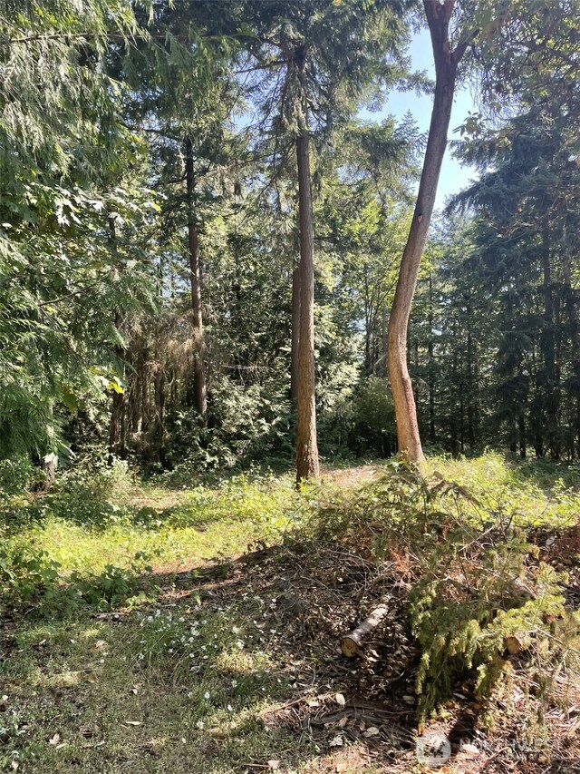0NHN Hummingbird Ln, Anacortes, WA 98221 - photo 7