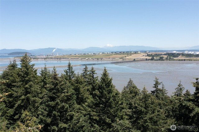 0NHN Hummingbird Ln, Anacortes, WA 98221 - photo 8