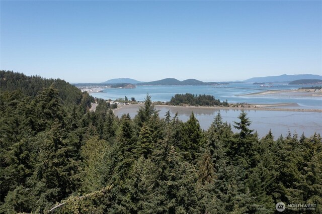 0NHN Hummingbird Ln, Anacortes, WA 98221 - photo 9