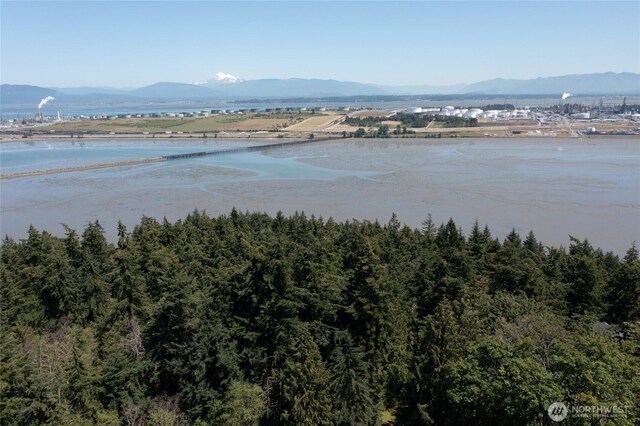 0NHN Hummingbird Ln, Anacortes, WA 98221 - photo 10