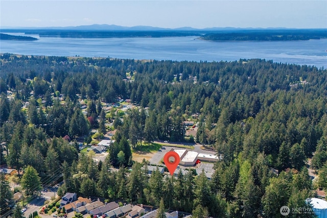 8309 Cirque Dr W Unit 4, University Place, WA 98467 - aerial overview of property's location with a heavily wooded area and a water and mountain view