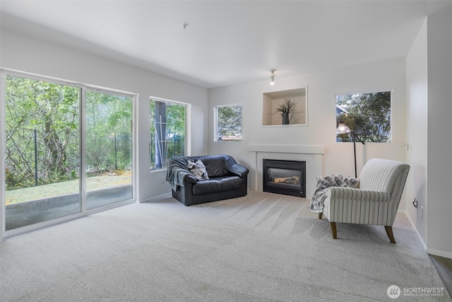 10825 SE 200th St Unit C104, Kent, WA 98031 - carpeted living room featuring a glass covered fireplace and baseboards
