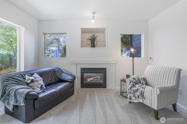 10825 SE 200th St Unit C104, Kent, WA 98031 - living room with carpet, a glass covered fireplace, and baseboards