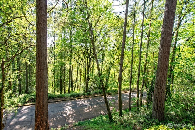2431 W Lynnwood Dr, Longview, WA 98632 - view of tree filled area