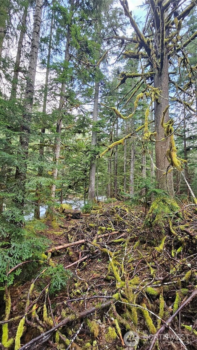 87020 NE 122nd St, Skykomish, WA 98288