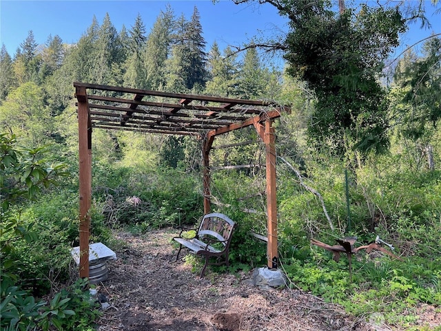 11377 US Highway 12, Randle, WA 98377 - photo 18