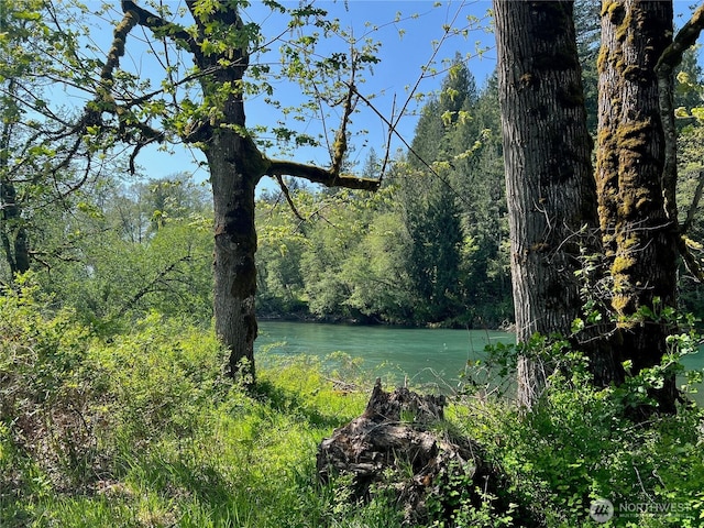 11377 US Highway 12, Randle, WA 98377 - photo 17