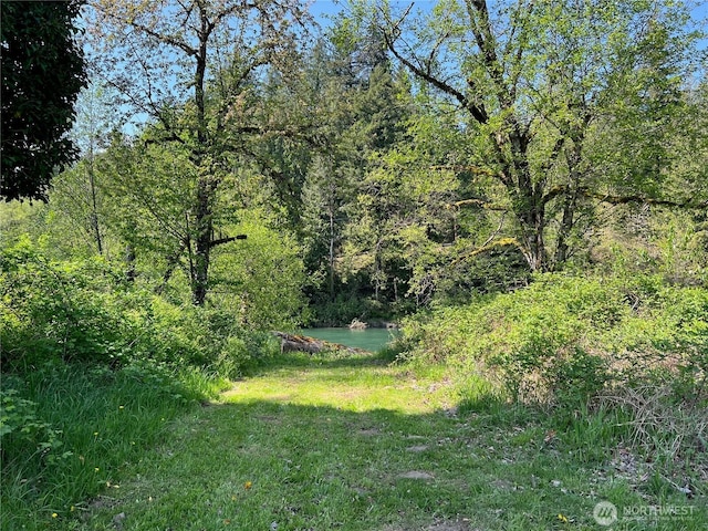 11377 US Highway 12, Randle, WA 98377 - photo 21