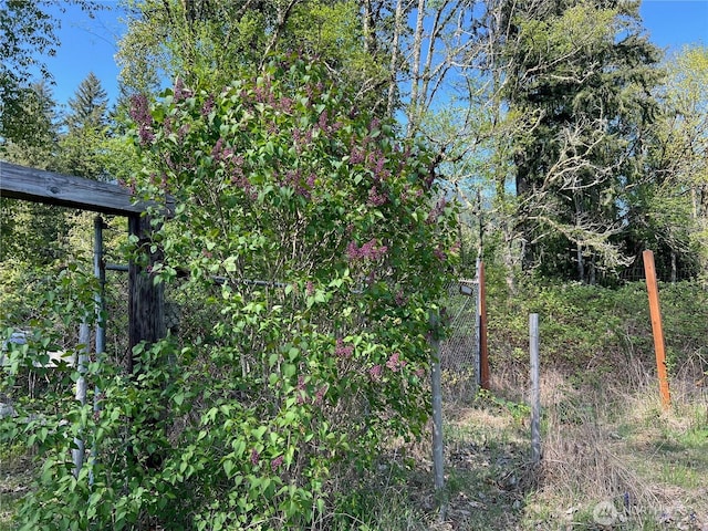 11377 US Highway 12, Randle, WA 98377 - photo 22