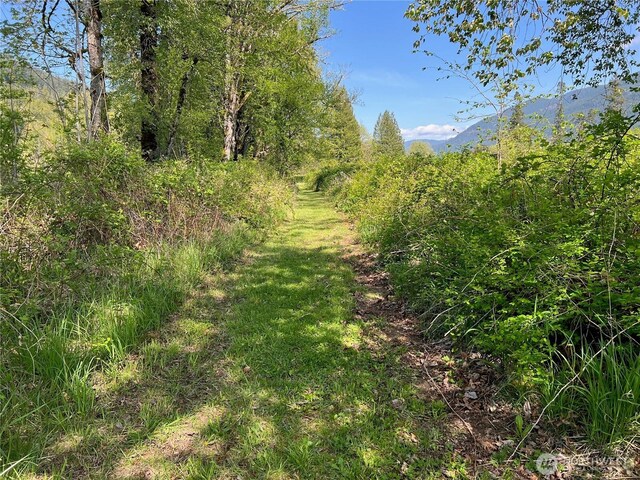 11377 US Highway 12, Randle, WA 98377 - photo 26